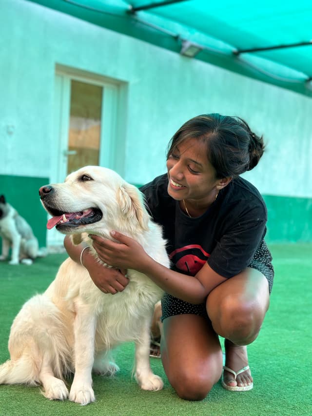 Paws to Heart - Pet bordeing and Daycare - Dubai