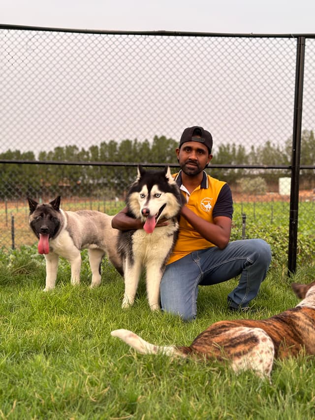 Paws to Heart - Pet bordeing and Daycare - Dubai