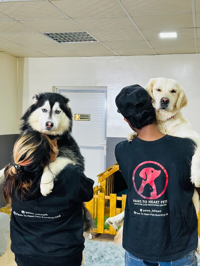 Paws to Heart - Pet bordeing and Daycare - Dubai